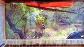 Austin Texas Arts Studio Gallery